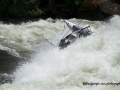 AIRE Cataraft Wave Destroyer 12 Lochsa River 2014 Ian Fodor-Davis