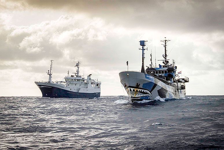 Sea Shepherd vessels the Atlas Cove (left) and the Bob Barker patrolling the Southern Ocean. (Photo: Simon Ager/Sea Shepherd Global)