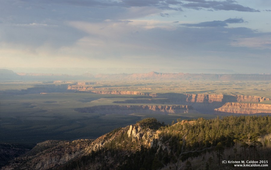 Tell President Obama to designate the Greater Grand Canyon Heritage National Monument