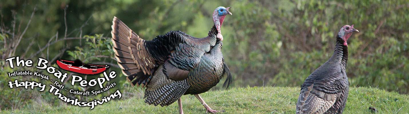 TheBoatPeople Raft Cataraft Thanksgiving 2018