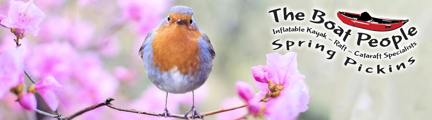 Spring Boating at The Boat People