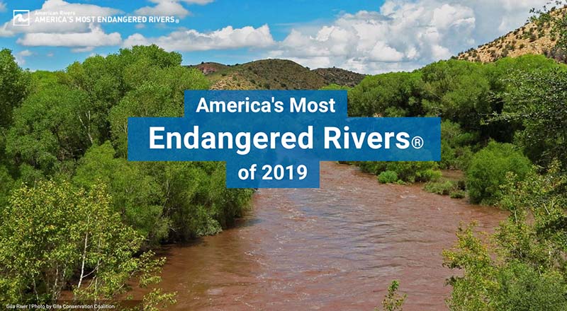 America's Most Endangered Rivers of 2019 - Photo Gila Conservation Coalition